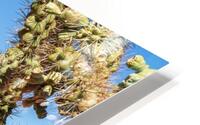 Superstition Mountains 9 HD Metal print