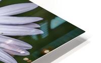 Flower 5 HD Metal print