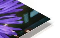 Flower  HD Metal print
