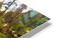 West Fork  HD Metal print