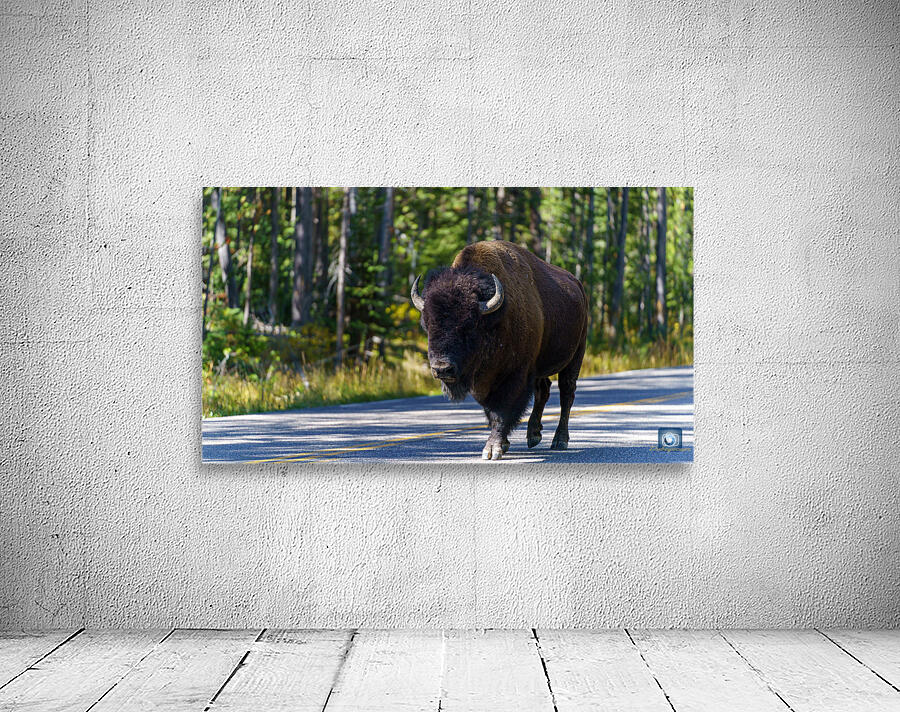 Yellowstone NP Wall Preview