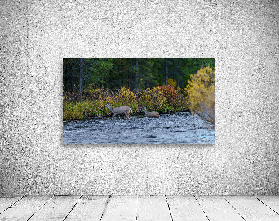 Yellowstone NP 6 Wall Preview