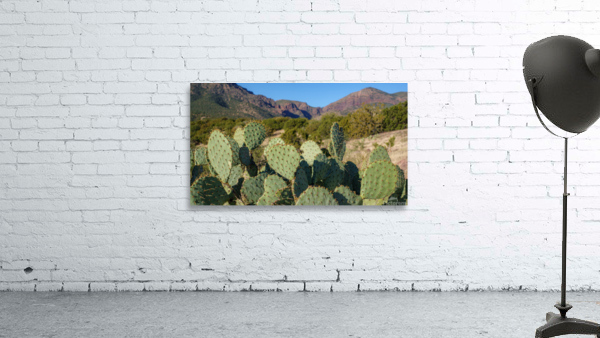 Barnhardt Trail 3 Wall Preview