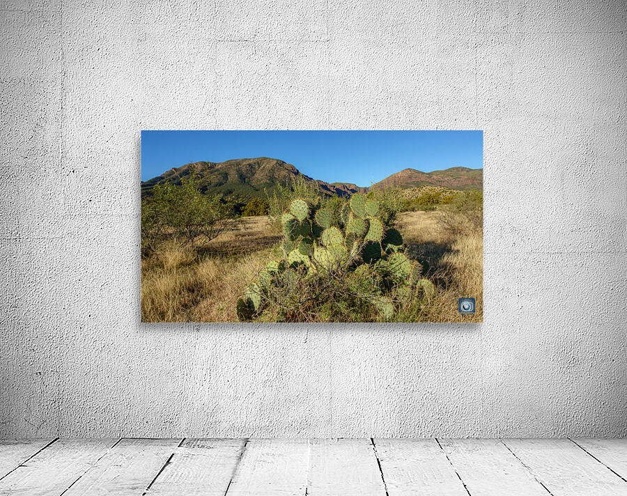 Barnhardt Trail 1 Wall Preview