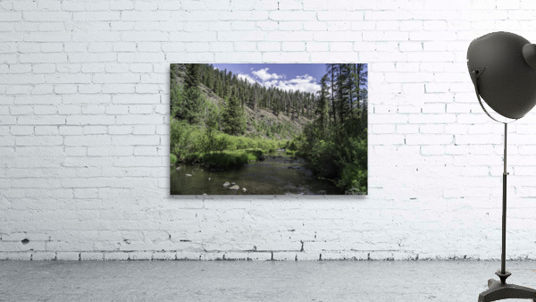 Black River 2 Wall Preview