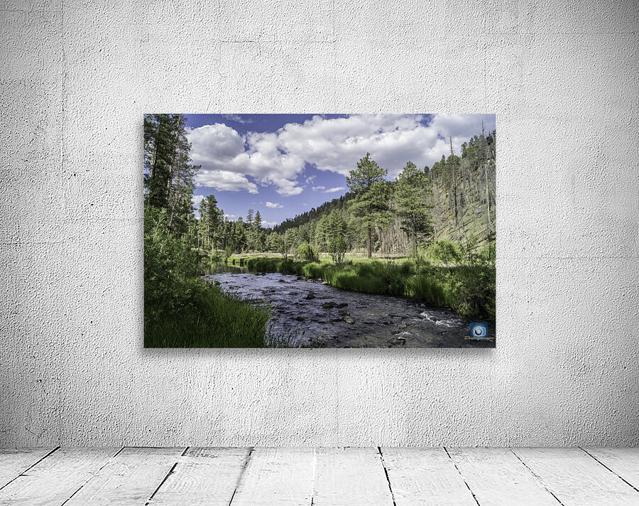 Black River Wall Preview