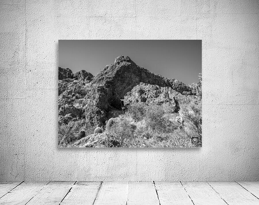 Elephant Arch 6 Wall Preview