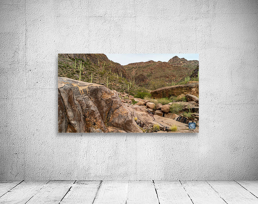 Hieroglyphics Trail 2 Wall Preview