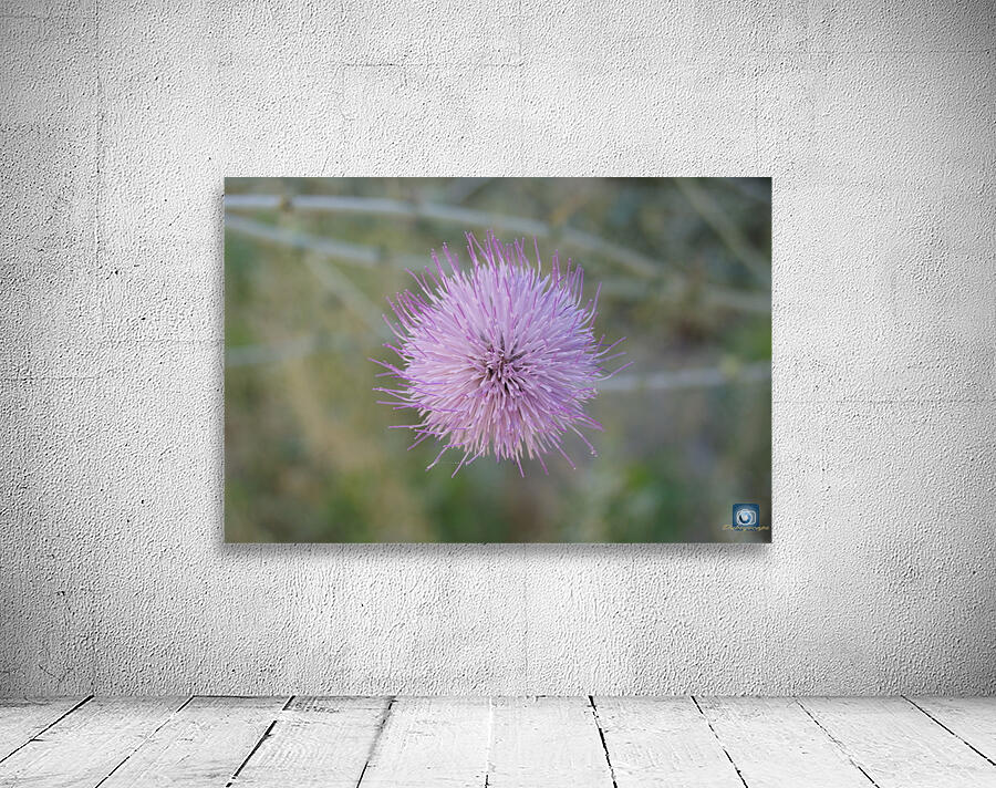 Macro 8 Wall Preview