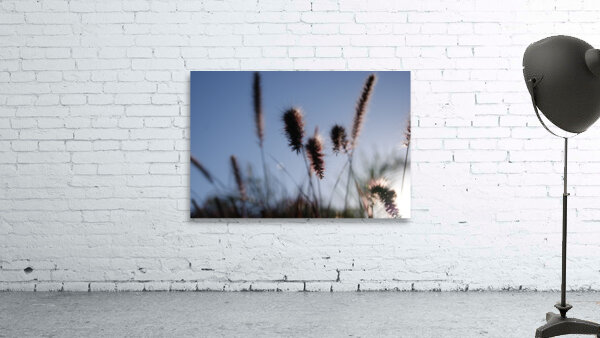 Macro 7 Wall Preview