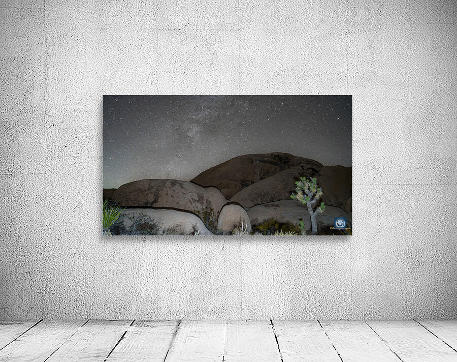 Joshua Tree NP 2 Wall Preview