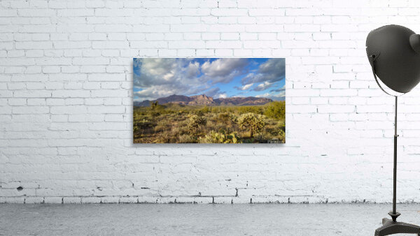 Superstition Mountains Wall Preview