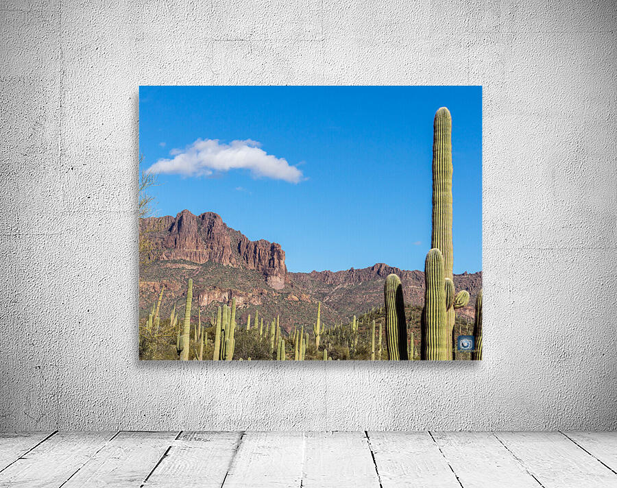 Superstition Mountains 2 Wall Preview