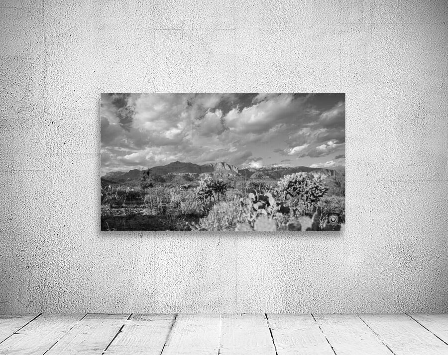 Superstition Mountains Wall Preview