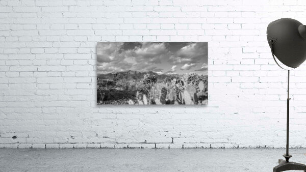 Superstition Mountains Wall Preview