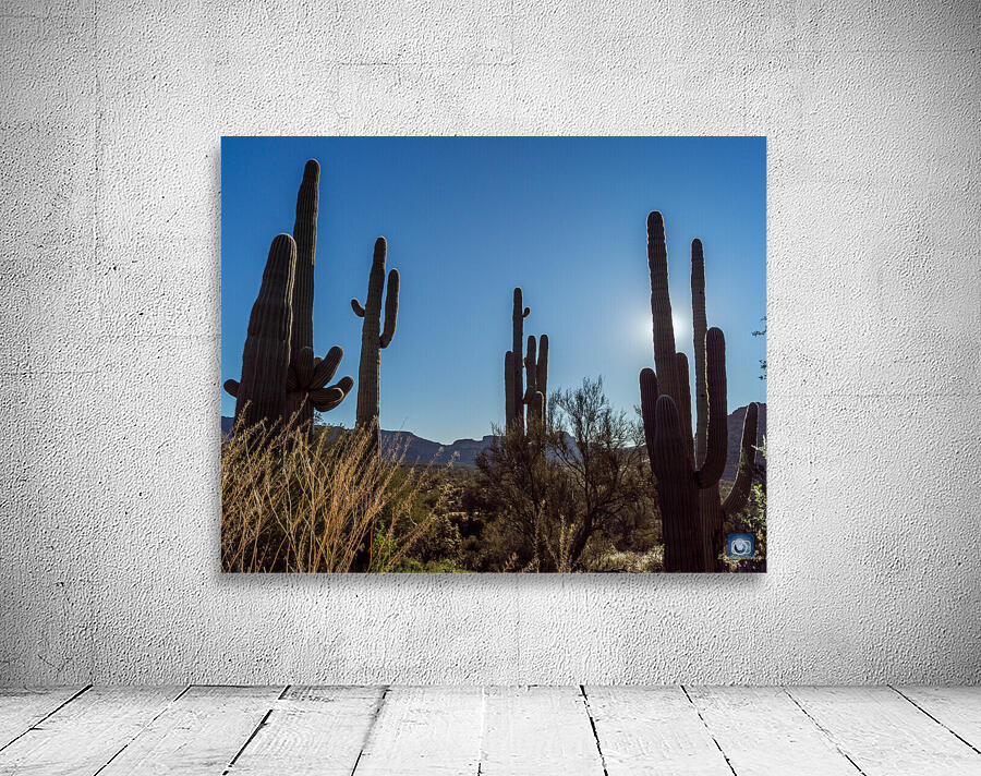 Superstition Mountains 7 Wall Preview