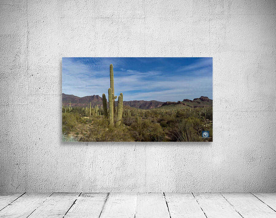 Superstition Mountains Wall Preview