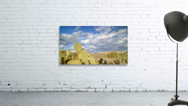 Superstition Mountains Wall Preview