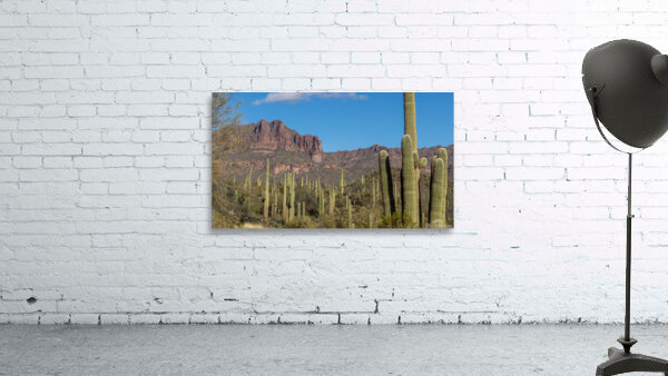 Superstition Mountains 6 Wall Preview