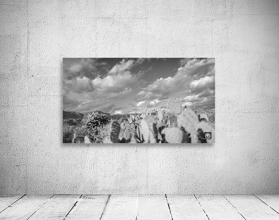 Superstition Mountains Wall Preview