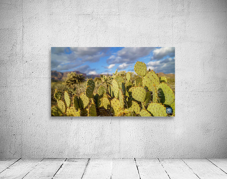 Superstition Mountains Wall Preview
