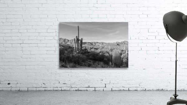 Superstition Mountains 3 Wall Preview