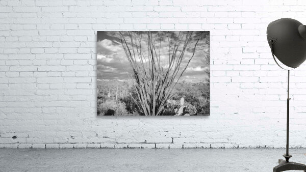 Superstition Mountains Wall Preview