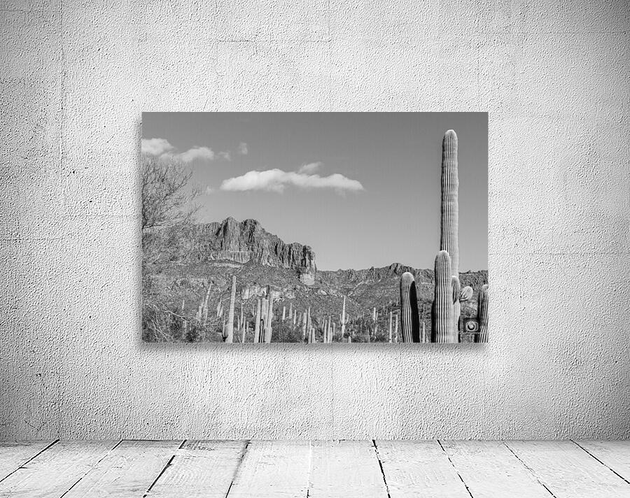 Superstition Mountains 5 Wall Preview