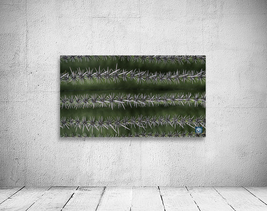Peralta Trail  Wall Preview