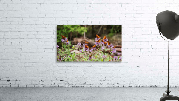 Butterflies Wall Preview