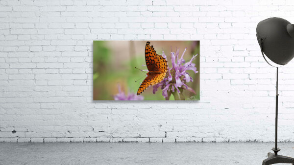 Butterfly 2 Wall Preview