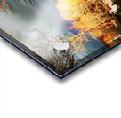 So real  Acrylic print
