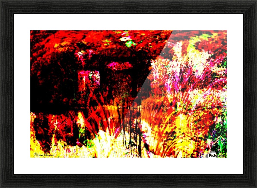A Colorful Scene  Picture Frame print