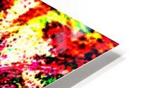 A Colorful Scene  HD Metal print