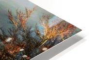 So real  HD Metal print