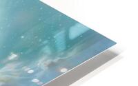 Flottige   HD Metal print