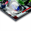  A0Q9809:  94 Acrylic print