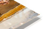  60  pf no 35 HD Metal print