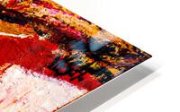  A0Q1466: 237 HD Metal print