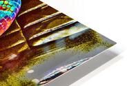Backseat  HD Metal print