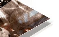 holy cross No4 HD Metal print