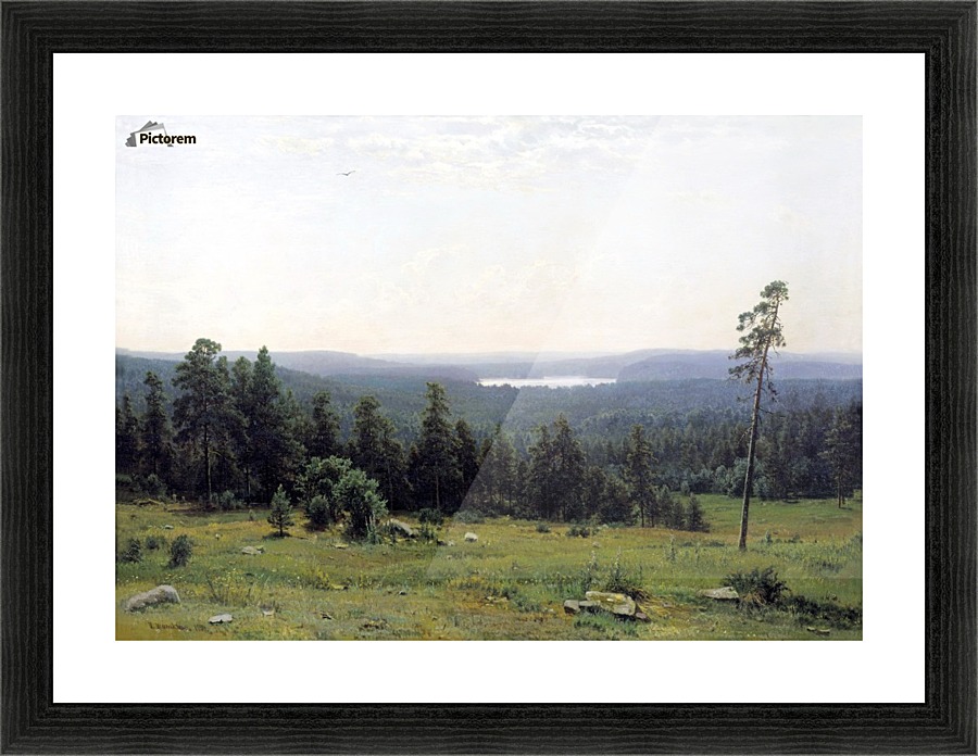 The Forest Horizons Picture Frame print