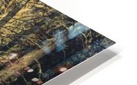 Wind Fallen Trees HD Metal print