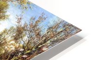 Forest before thunderstorm HD Metal print