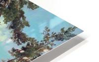 Pine on sand HD Metal print