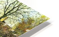 A sunny day HD Metal print