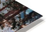 Opushka lesa HD Metal print