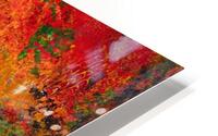 Noon HD Metal print