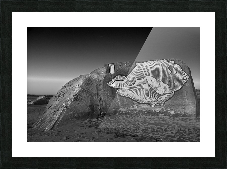 SLEEPING DOG Picture Frame print