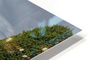 The vegetable garden HD Metal print